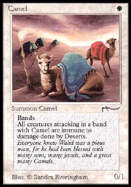 Camel