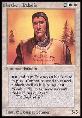 Northern Paladin