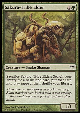 Sakura-Tribe Elder