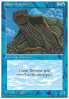 Giant Tortoise