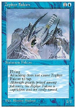 Zephyr Falcon