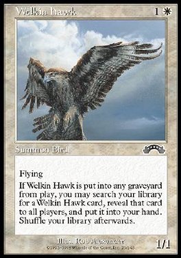 Welkin Hawk