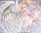 Transformacion divina