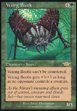 Vexing Beetle