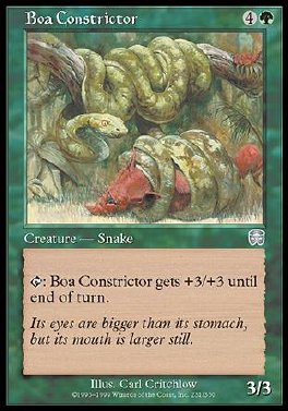 Boa constrictor