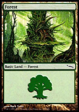 Bosque