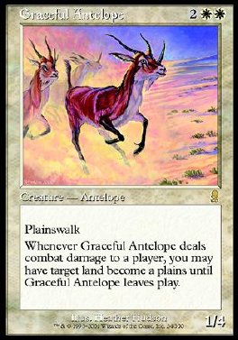 Graceful Antelope