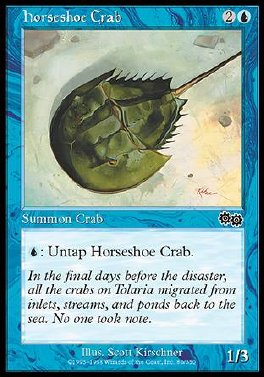 Horseshoe Crab