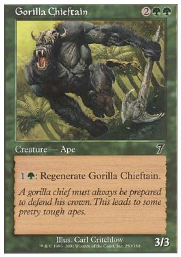 Cacique gorila