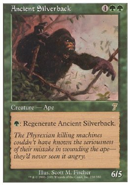 Ancient Silverback