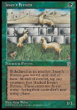 Joven's Ferrets