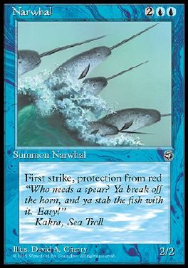 Narwhal